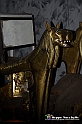 VBS_5040 - Tutankhamon - Viaggio verso l'eternità